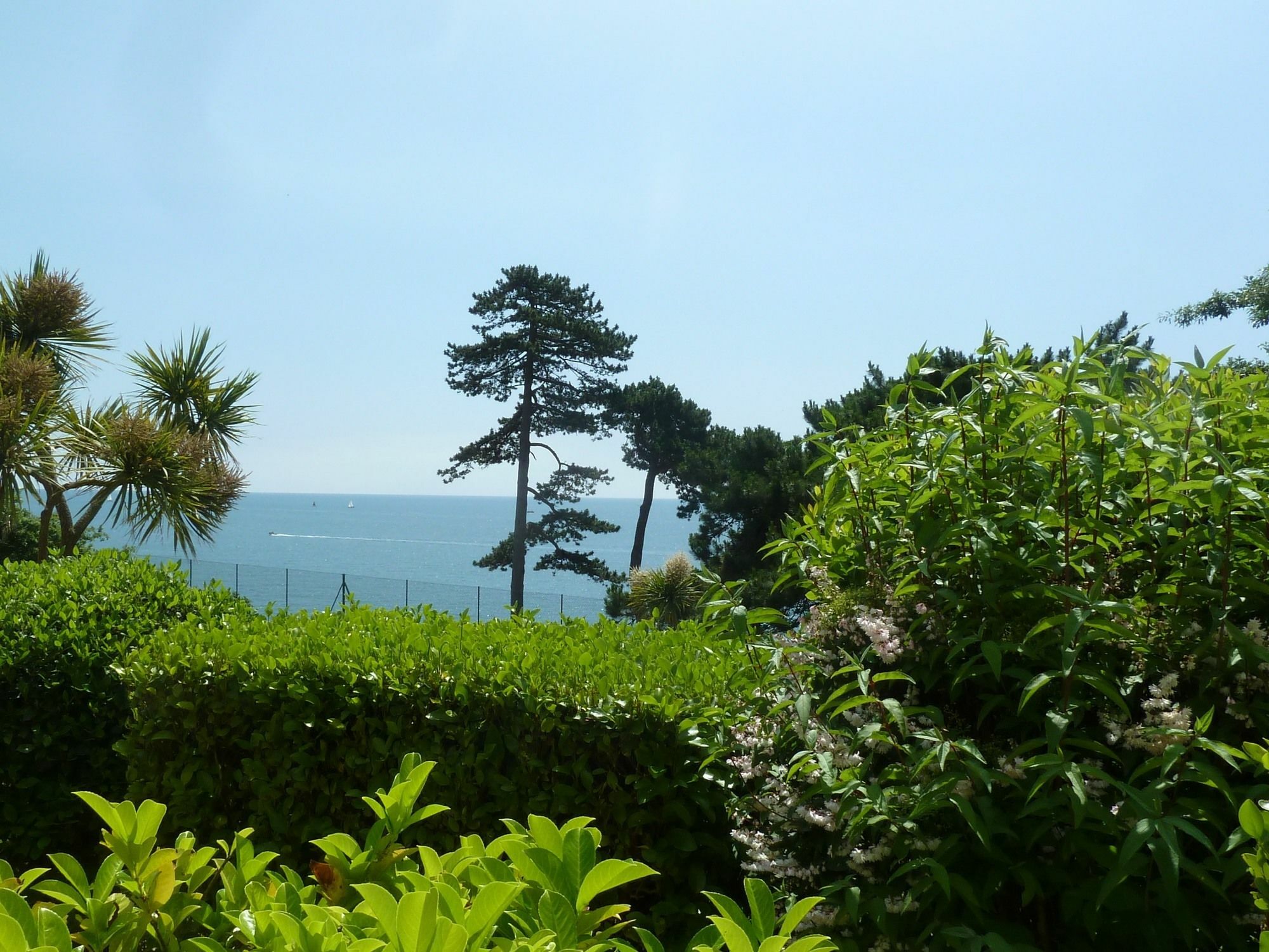Tramontane Apartment At Hesketh Crescent Torquay Eksteriør billede